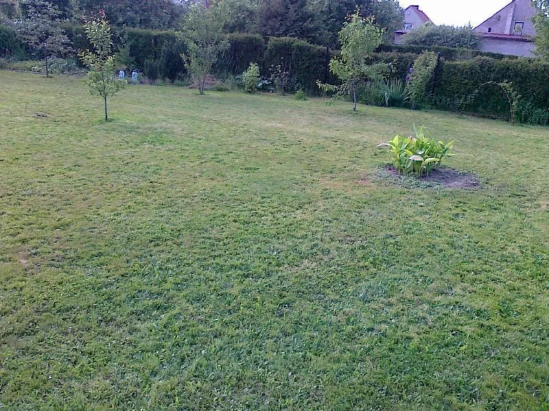 Bielsko-Biała LOKALIZACJA W ATRAKCYJNYM MIEJSCU sprzedaż 1300m2