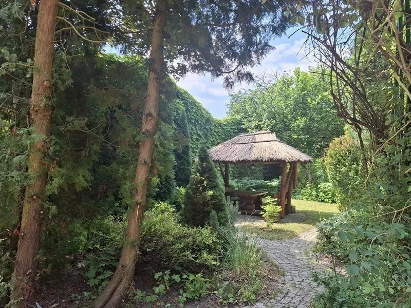 Gliwice wolnostojący z potencjałem na dużej działce sprzedaż 290m2 - 13