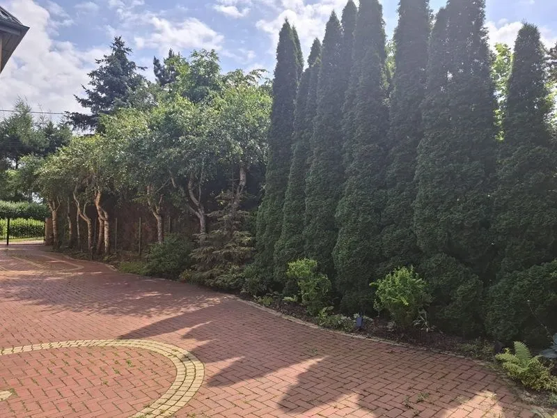 Gliwice wolnostojący z potencjałem na dużej działce sprzedaż 290m2 - 16
